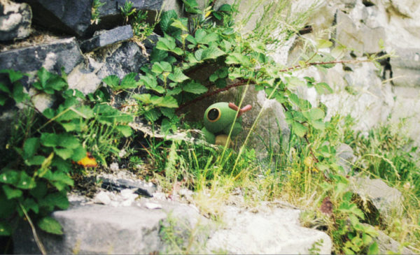 evolucion-de-caterpie-todos-los-trucos-donde